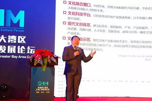數字時代粵港澳大灣區文創產業 機遇與挑戰并存