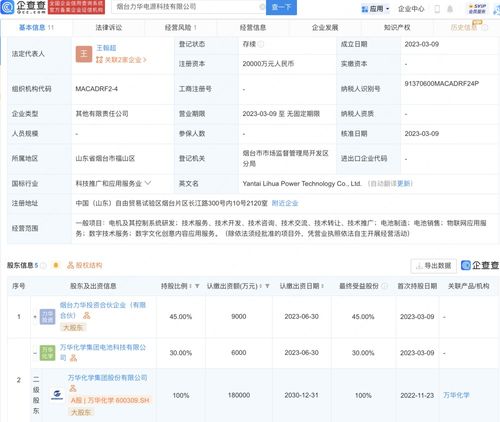 數(shù)字文化創(chuàng)意內(nèi)容應(yīng)用服務(wù) 開啟數(shù)字時代文化新紀(jì)元